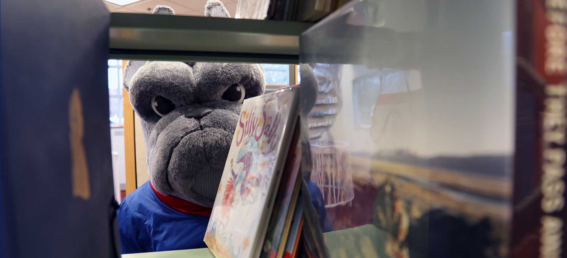 Bulldog peeking through library shelves banner